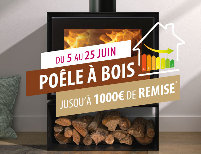 1000€ de remise sur votre projet poêle